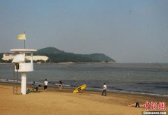 两会港澳代表、委员聚焦大湾区:发挥