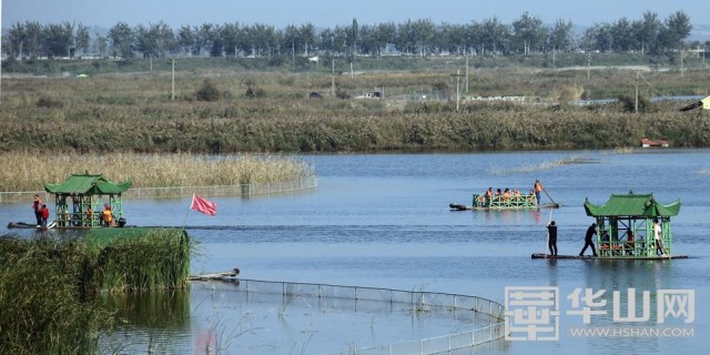大荔：黄河湿地好景观 国庆游玩好去处