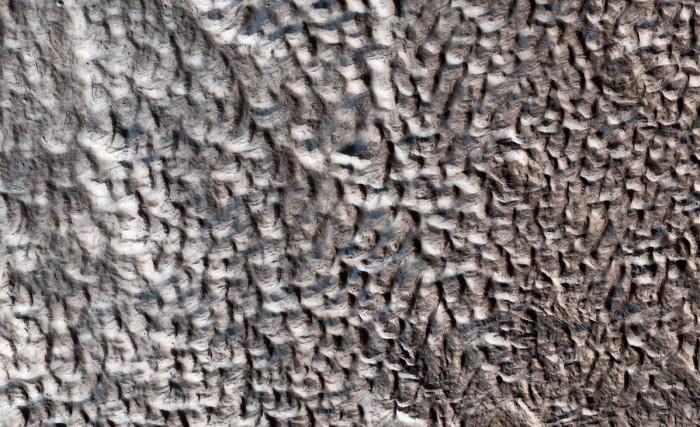 NASA发布怪异的火星“大脑地形”图像