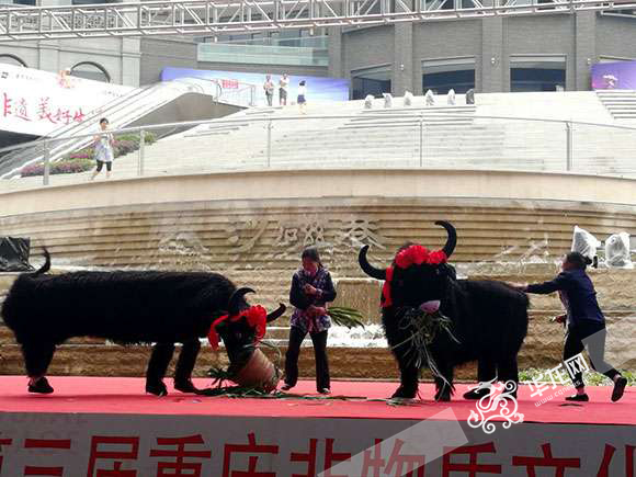 好吃好看好玩，好戏连台！ 第三届重庆非遗暨老