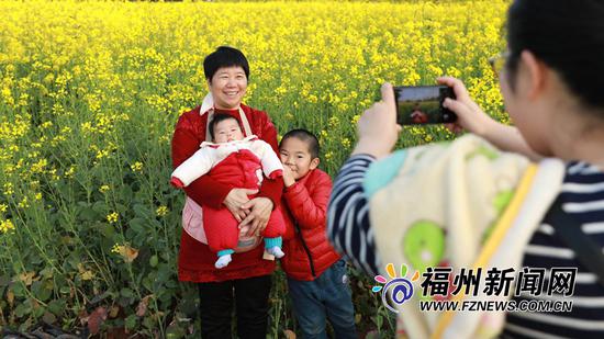 福州花海公园油菜花 春风十里花漪荡漾(图)