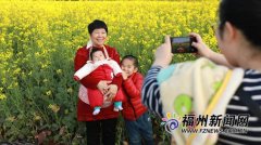 福州花海公园油菜花 春风十里花漪荡漾