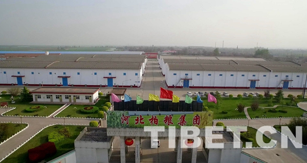 【中国梦•大国工匠篇】尚金锁：为“粮库”保驾护航40余载只为让百姓吃得好吃得安