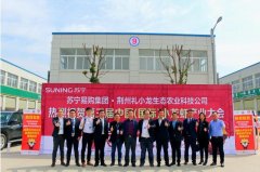 鲜活小龙虾送到家 苏宁拼购小龙虾基地