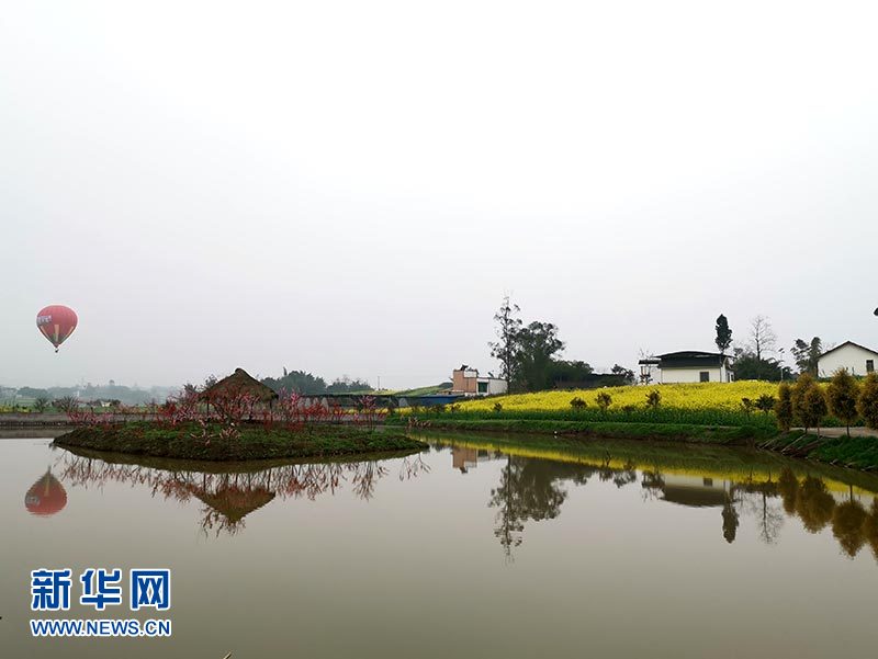 2019永川春游赏花季启动 五大花海等你来游玩