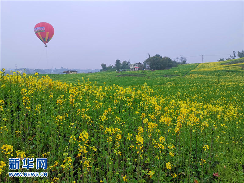 2019永川春游赏花季启动 五大花海等你来游玩