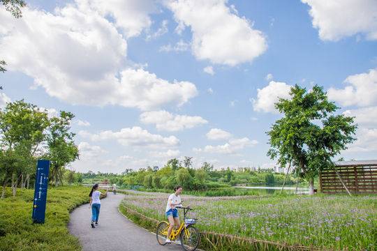 锦江启动绿楔建设 多处公园将规划地下停车场