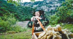 养蜂场建在峭壁上(乡村发现·美味)