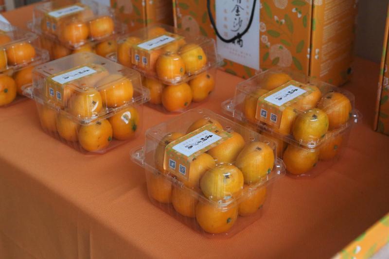 “崇明金沙橘”今起开摘上市，单个3.7元的橘子