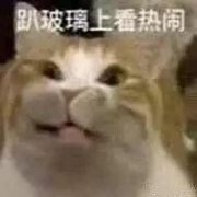 广佛环线预计10月开通 广州南站直达佛