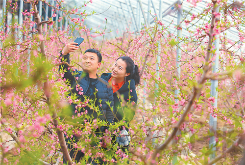 饶阳央景着力构建乡村旅游产业发展格局