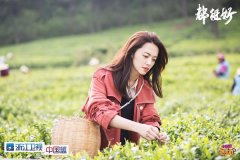 《都挺好》带动的可不只是一个“超话
