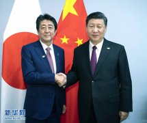 习近平会见日本首相安倍晋三