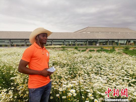 甘肃昔日戈壁变“花海”成旅游“新名片”