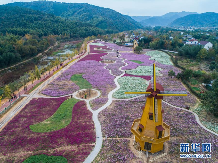 “五彩花海”引客来