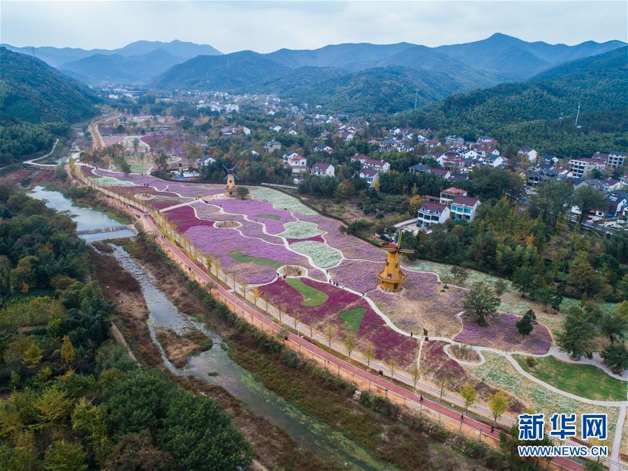 “五彩花海”引客来