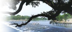 <b>广西:创新“交通+旅游”模式 推动全域</b>