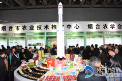 烟台现代农业“鲜美”理由 标准化是核