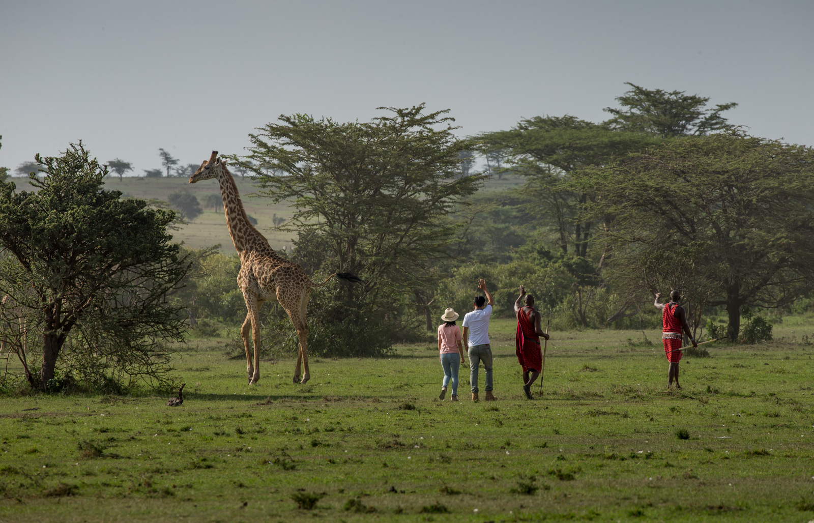 肯尼亚旅游局在华路演全面启动 2018全新宣传片即将发布