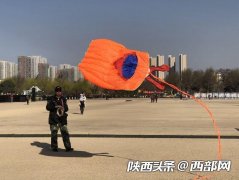 放风筝戏春风赏春光 西安这八大放风筝