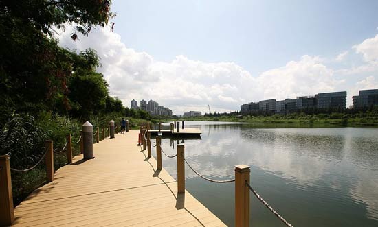 2015深圳华侨城湿地公园游玩指南
