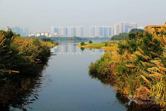 2015深圳华侨城湿地公园游玩指南