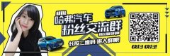 选车前必看 2019年美国IIHS年度安全车型