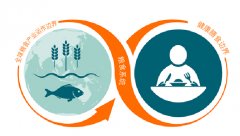 《柳叶刀》:重构饮食金字塔,每天摄