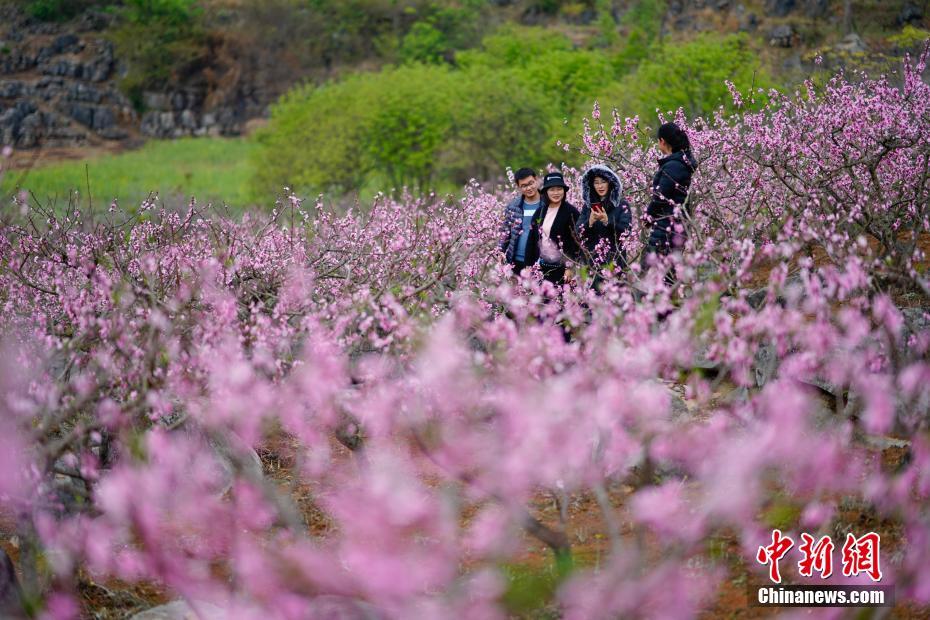 海南:免税福利不断 ＂旅游+免税购物＂成特色名片