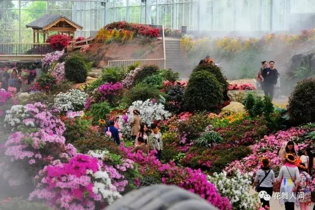 人间三月 百花舞动