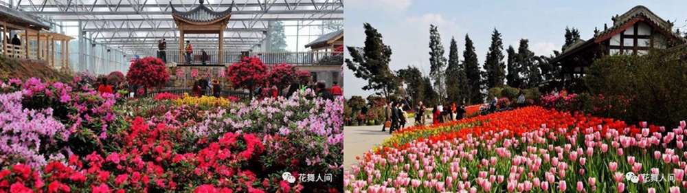 人间三月 百花舞动