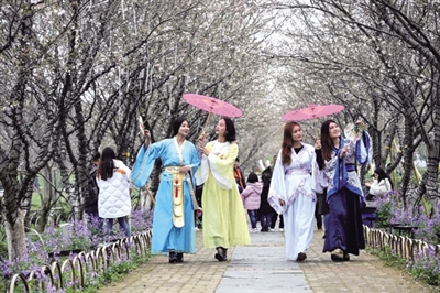 樱花花期将至 温州首场樱花马拉松参赛名额已经
