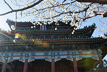 2019年北京朝阳区老楼加装电梯计划开工