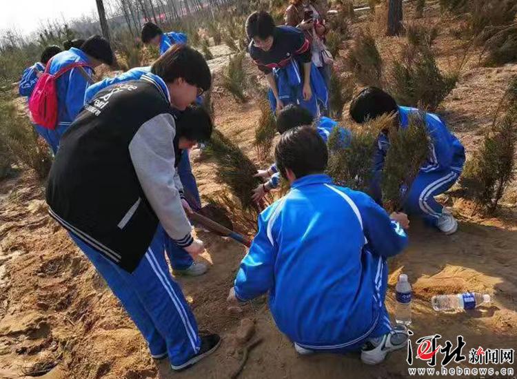 石家庄市九中师生开展义务植树活动