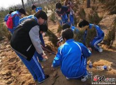石家庄市九中师生开展义务植树活动