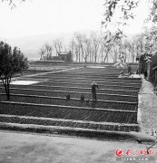 橘子洲梅园:从菜地到5A景区