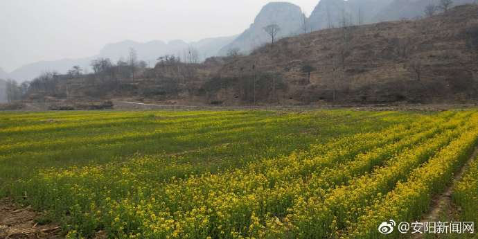 发挥乡村特色 主推乡村旅游