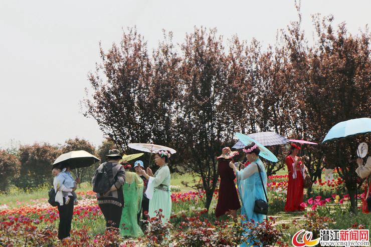 潜江章华台湿地花海美如画