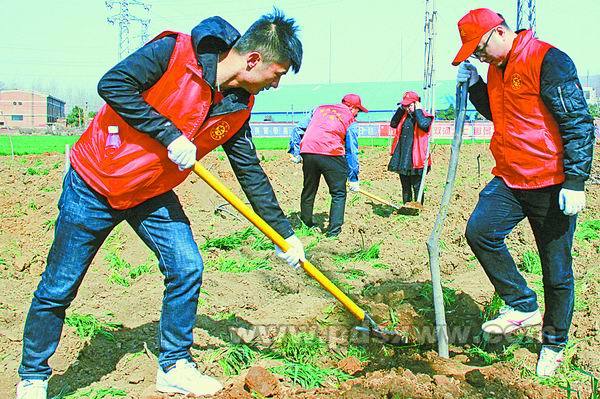 [百姓话题]绿色鹰城，需要你我携手共建