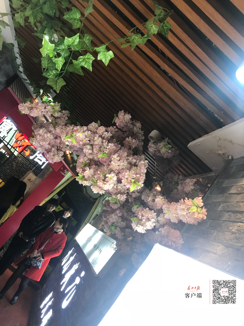 樱花鸭、樱花包……武汉这些高颜值的樱花美食