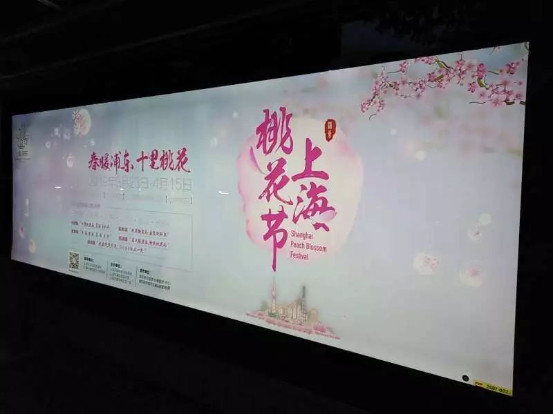 2019上海桃花节游玩攻略(花期+接驳车+主题活动