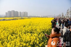 坐上開往春天的高鐵踏尋重慶新晉網紅