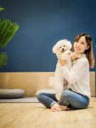 夫妻合伙开时尚宠物店:获英诺450万融