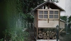 三个野生木匠DIY全屋家具 用破木头搭鸡