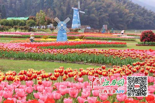 一年春景莫错过，湾里花开好时节