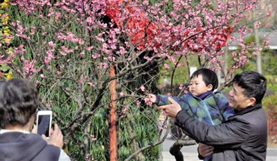 温州市民踏青出游好选择 各大公园赏花正当时