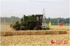 吉林小山村刮起“土味”时尚风