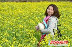 河南罗山县:43万亩油菜花竞相开放(图