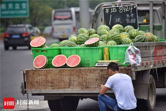 今夏成都水果价格跌跌不休好吃嘴担心明年涨不停