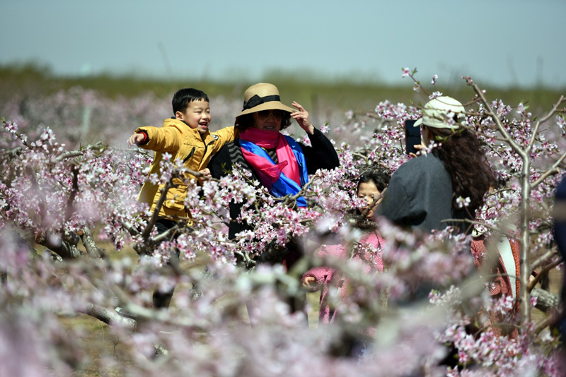 山东郯城：“农家花园”助力乡村旅游